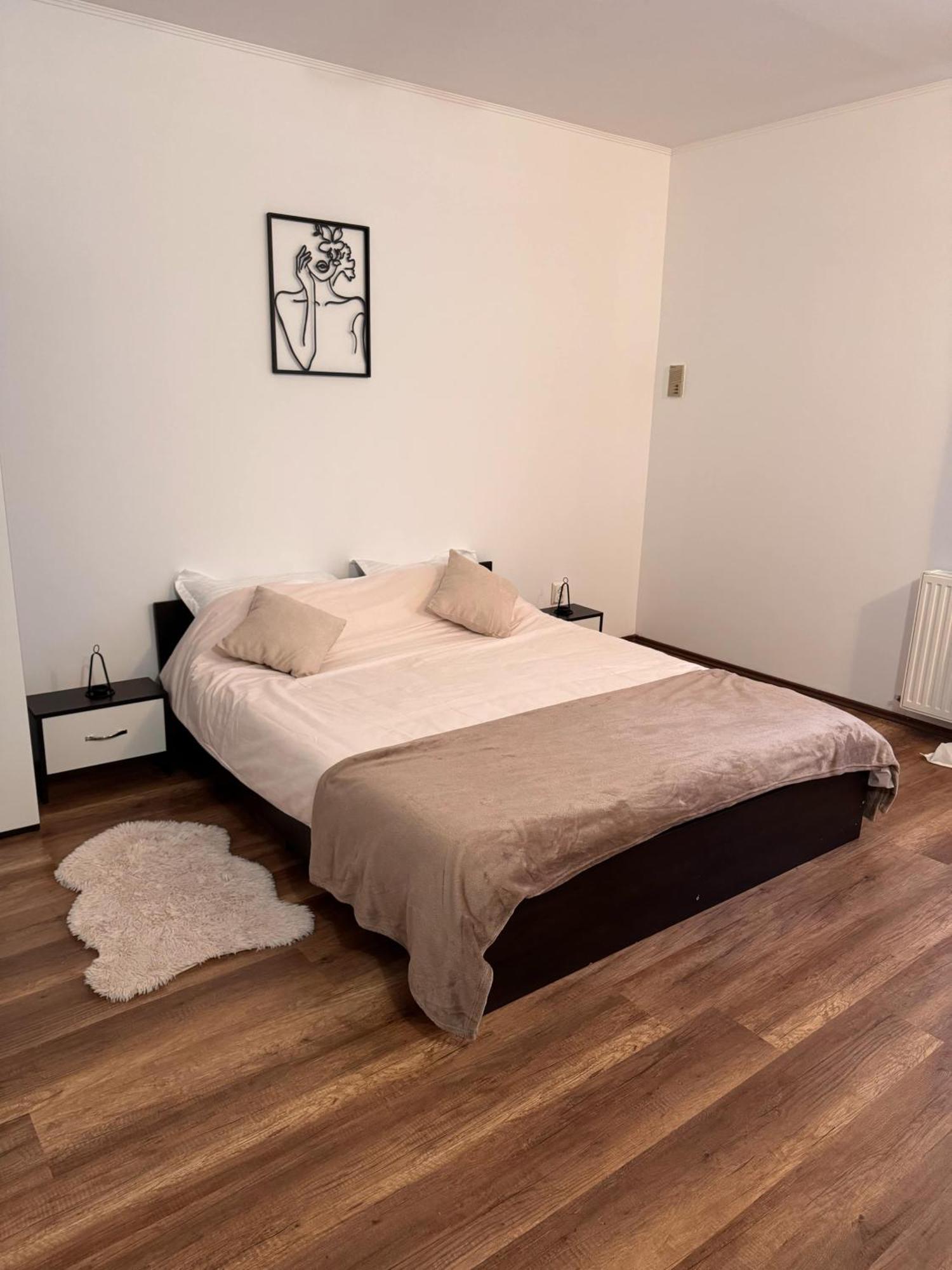 Madalina'S House Apartment Brasov Exterior photo
