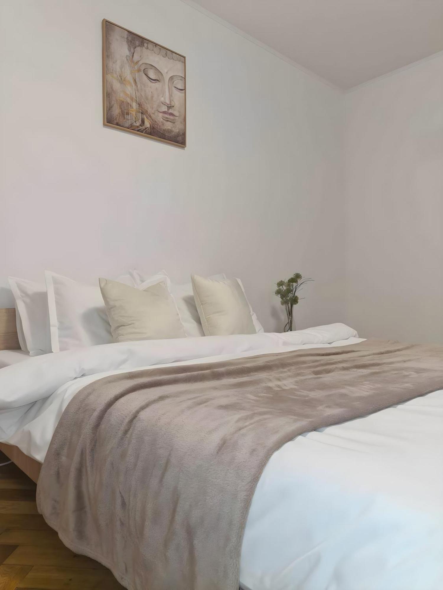 Madalina'S House Apartment Brasov Exterior photo